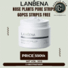 LANBENA Nose Plants Pore Strips 30gm + 60pcs Strip Free